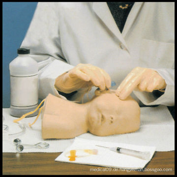 ISO Neonate Scalp Venipuncture Simulator (Injection Nursing Training Modell)